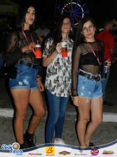 Festa da Vaca Atolada